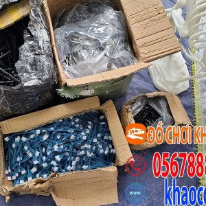 Bộ dụng cụ đào hóa thạch