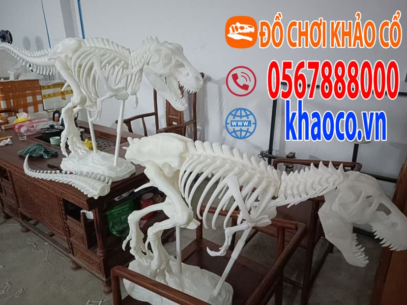 Mô hình xương khủng long