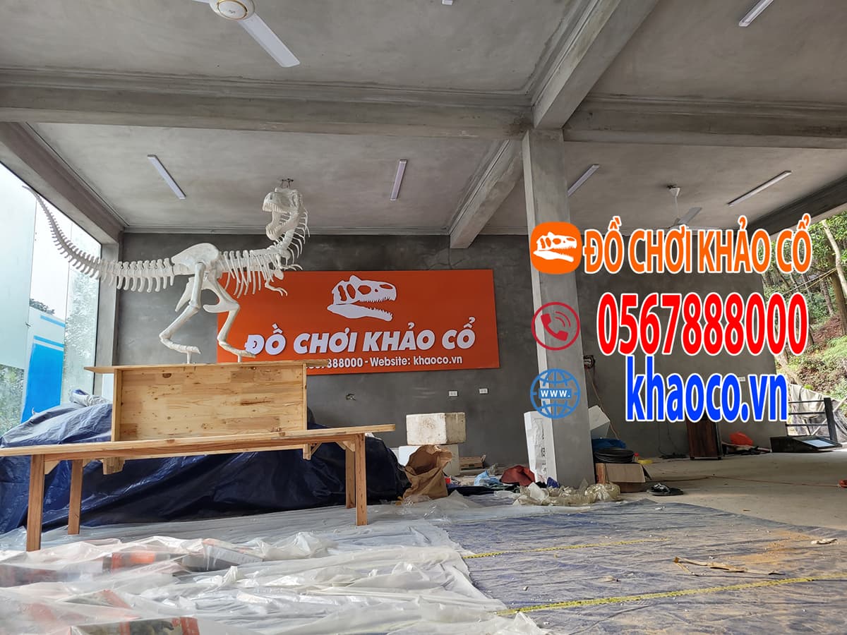 Mô hình xương khủng long