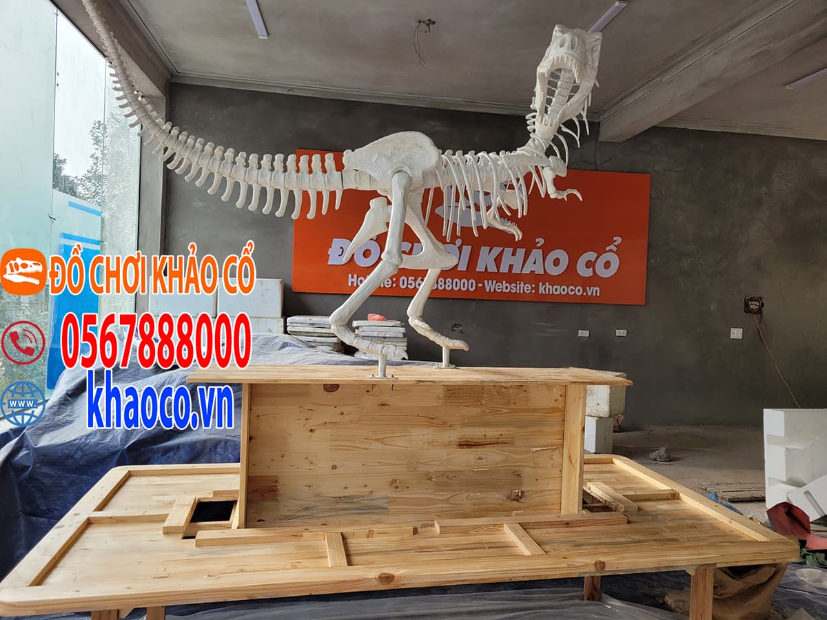 Bộ xương khủng long TRex hoàn chỉnh nhất thế giới có giá cao kỷ lục   Chuyện lạ  Vietnam VietnamPlus