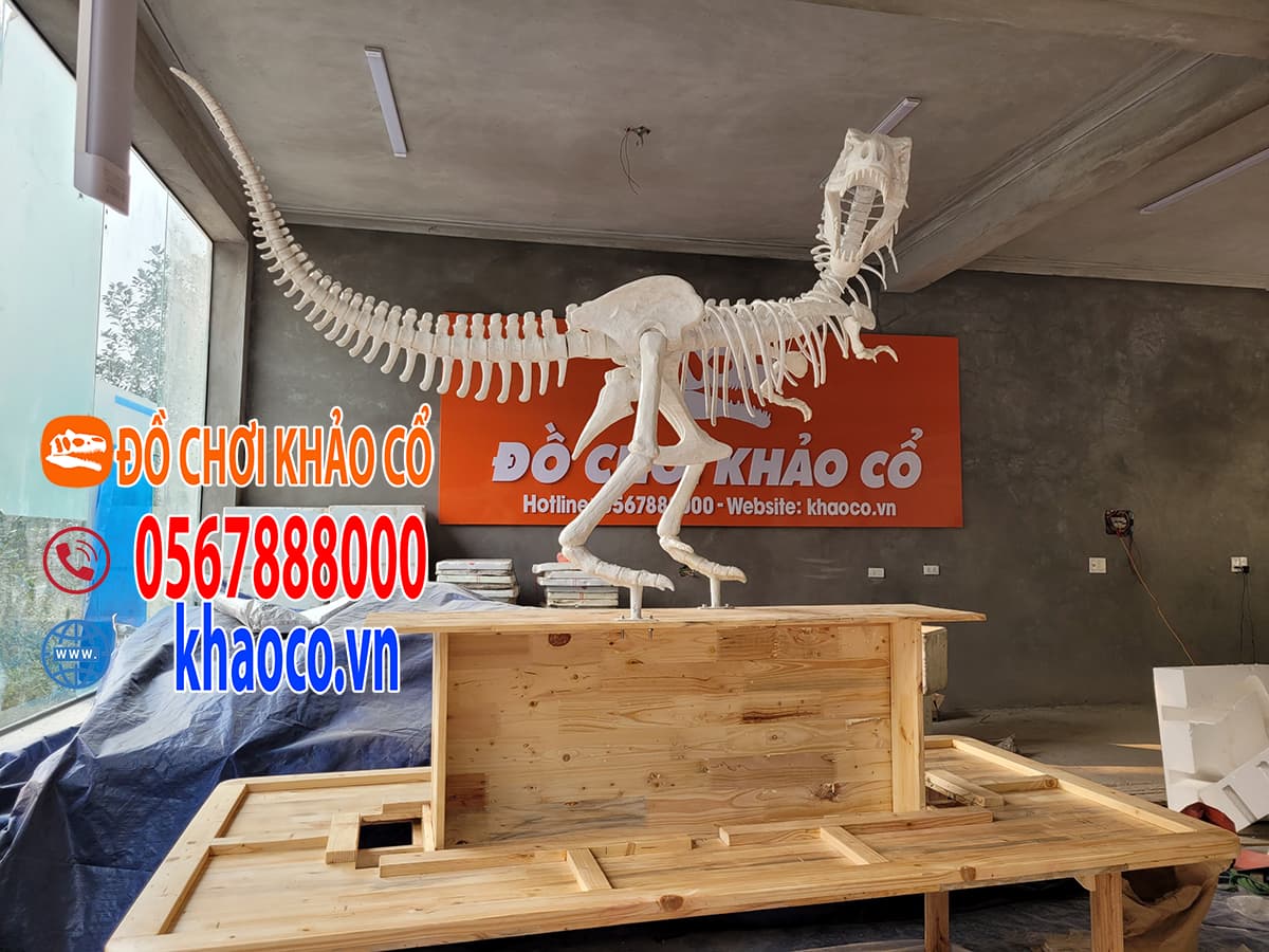 mô hình xương khủng long