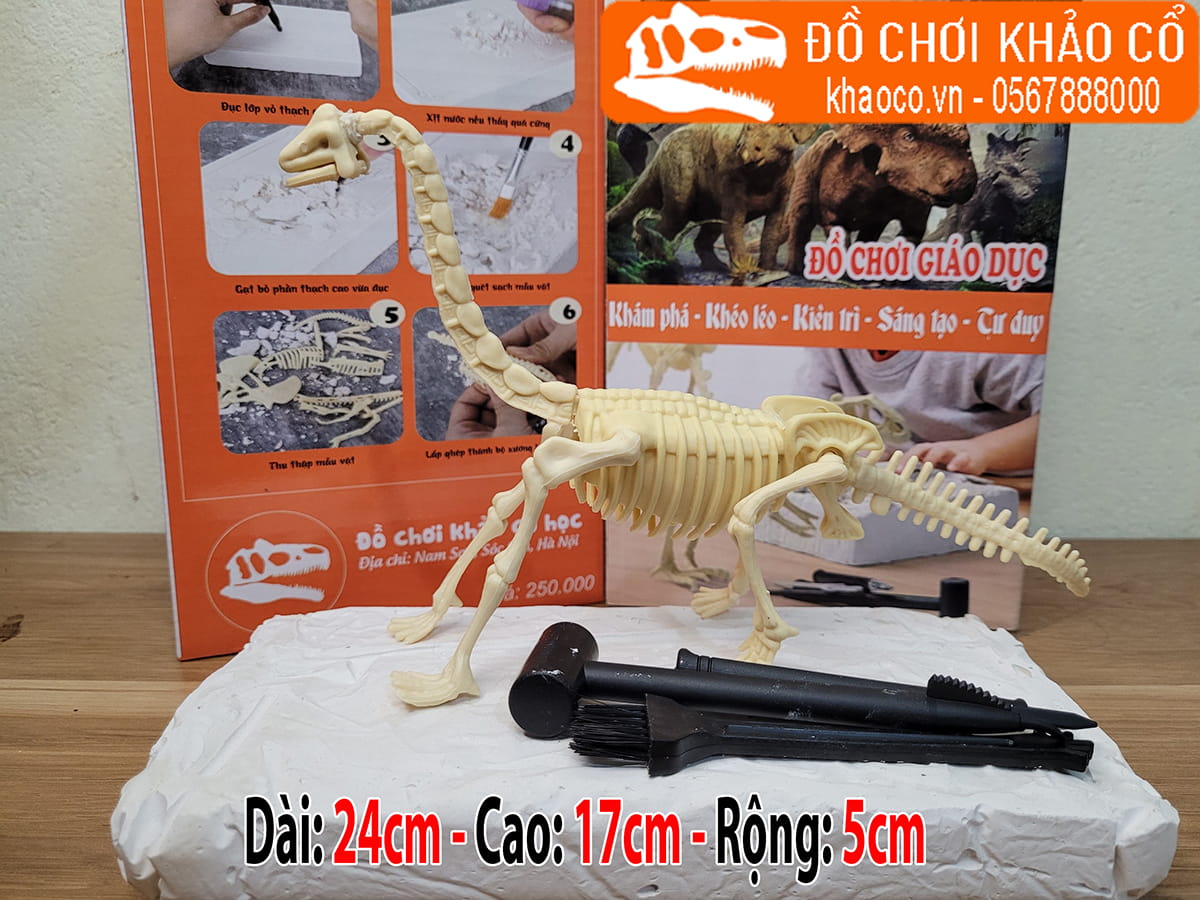 Bộ đồ chơi đào hóa thạch khủng long Brachiosaurus