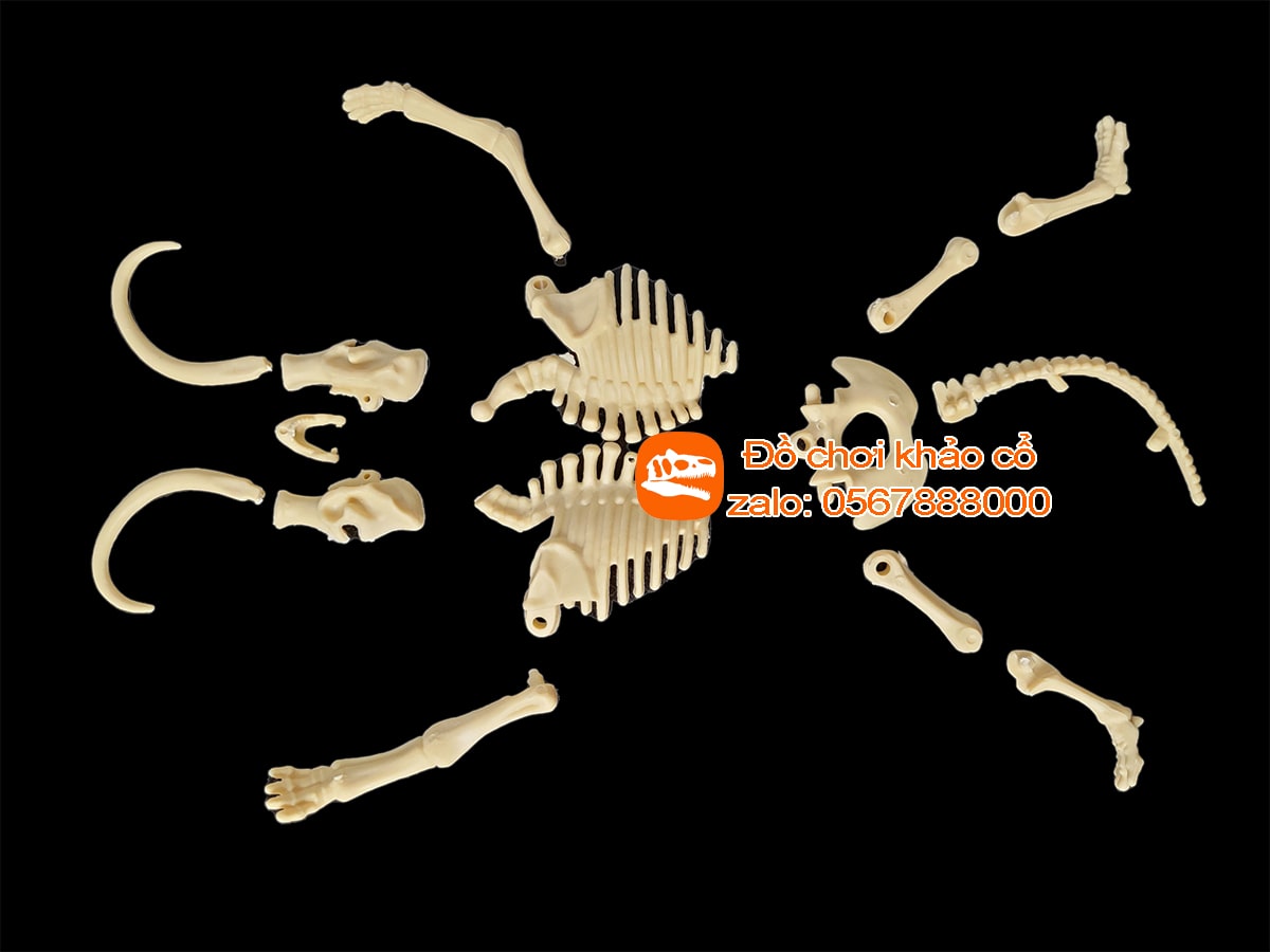 Bộ đồ chơi khảo cổ thạch cao voi ma mút Mammuthus