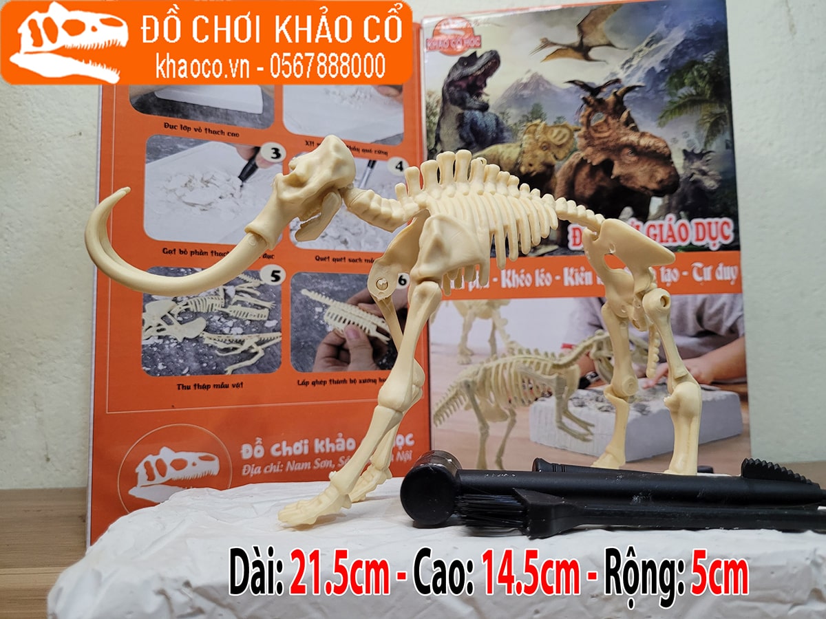 đào hóa thạch khủng long Mammuthus