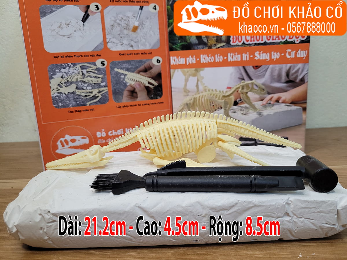 Bộ đồ chơi đào hóa thạch khủng long Pliosaur
