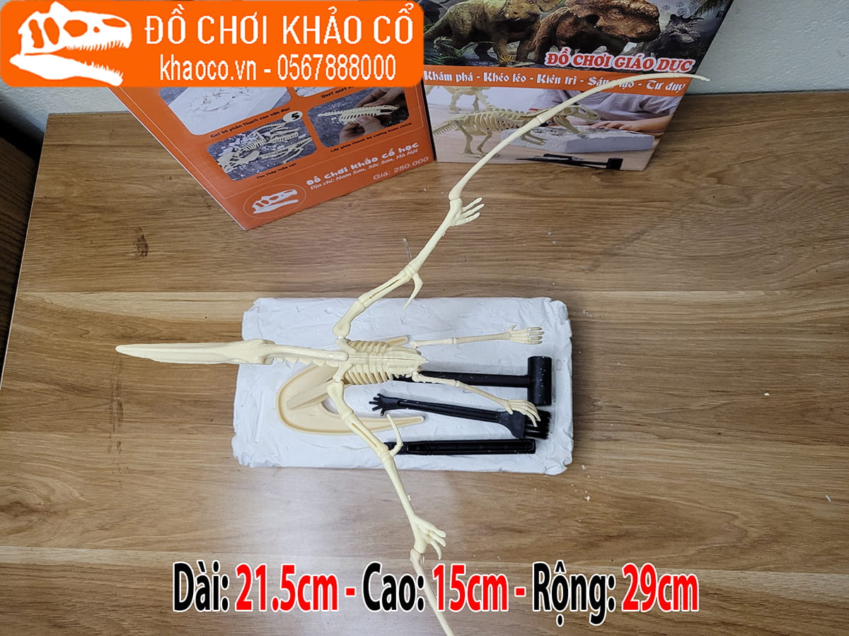 Bộ đồ chơi đào hóa thạch khủng long Pterodactyl