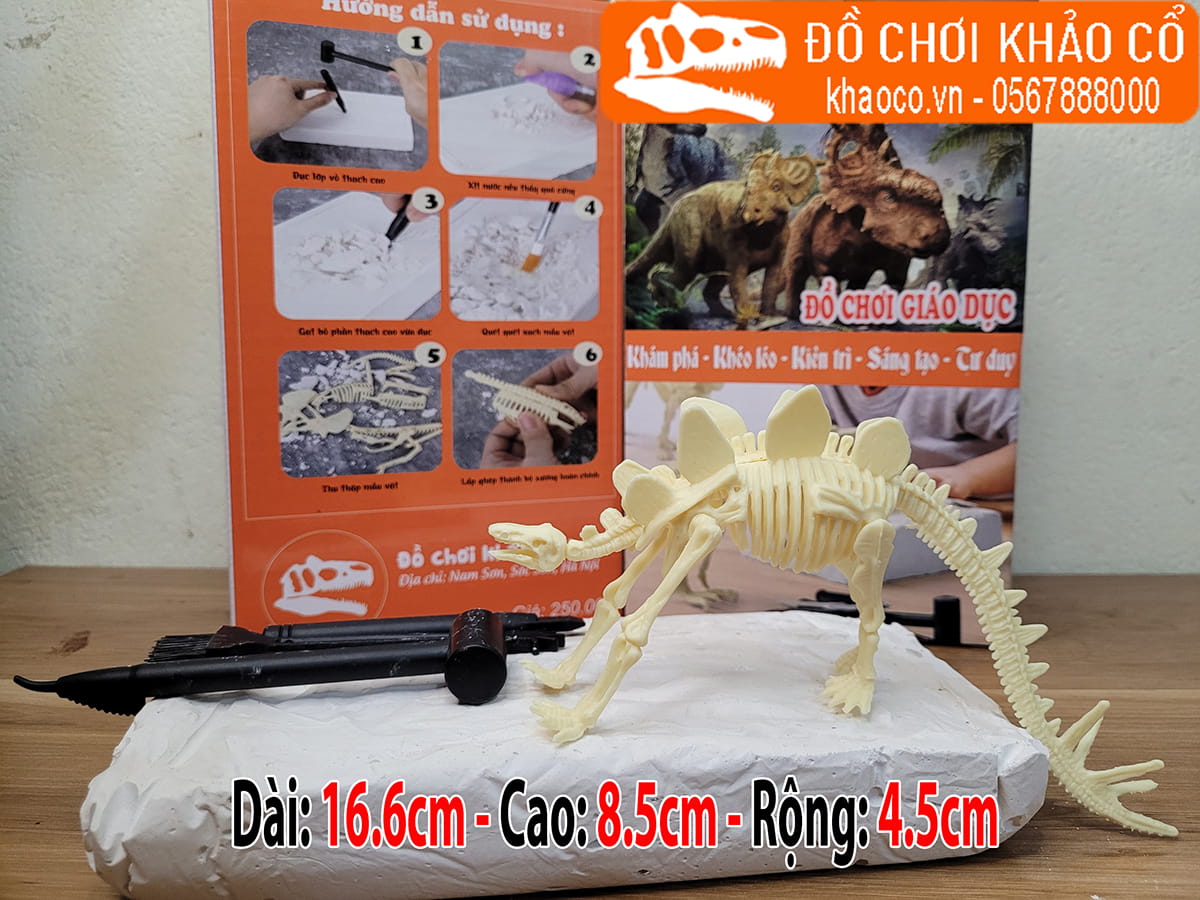 Bộ đồ chơi đào hóa thạch khủng long Stegosaurus