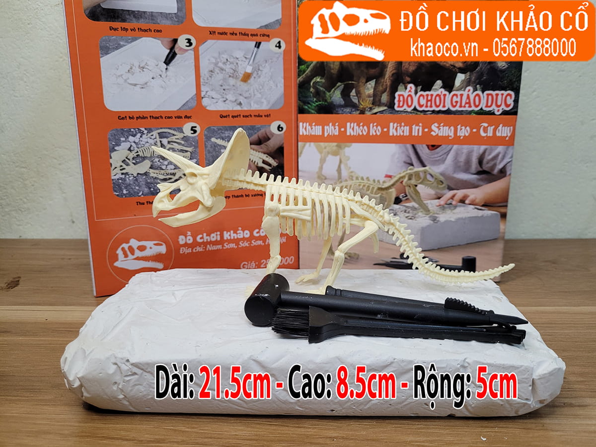 Bộ đồ chơi đào hóa thạch khủng long Triceratops