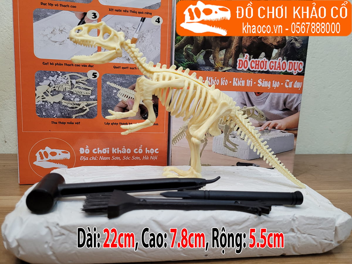 Đồ chơi khảo cổ khủng long bạo chúa T-REX