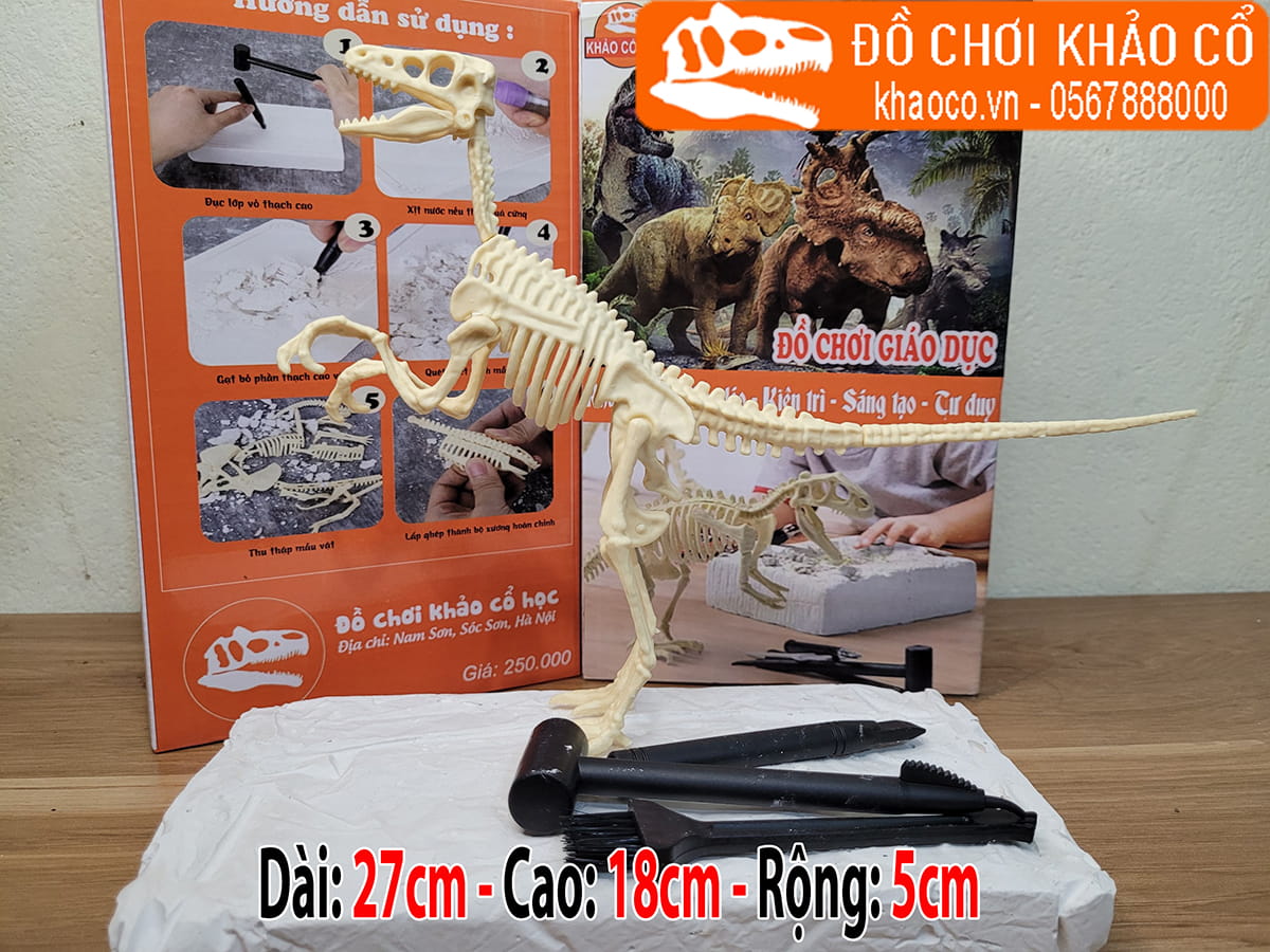 đào hóa thạch khủng long Velociraptor