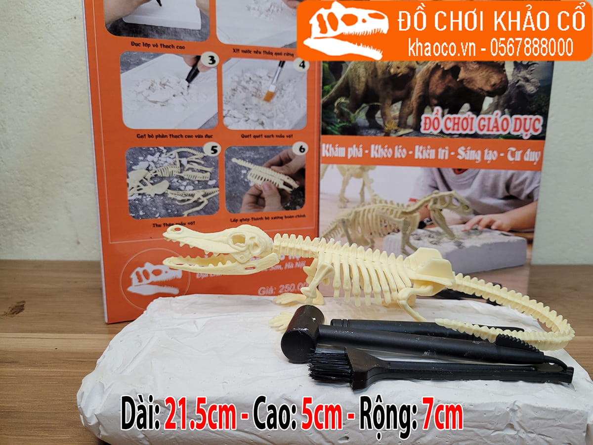Bộ đồ chơi đào hóa thạch khủng long alligator