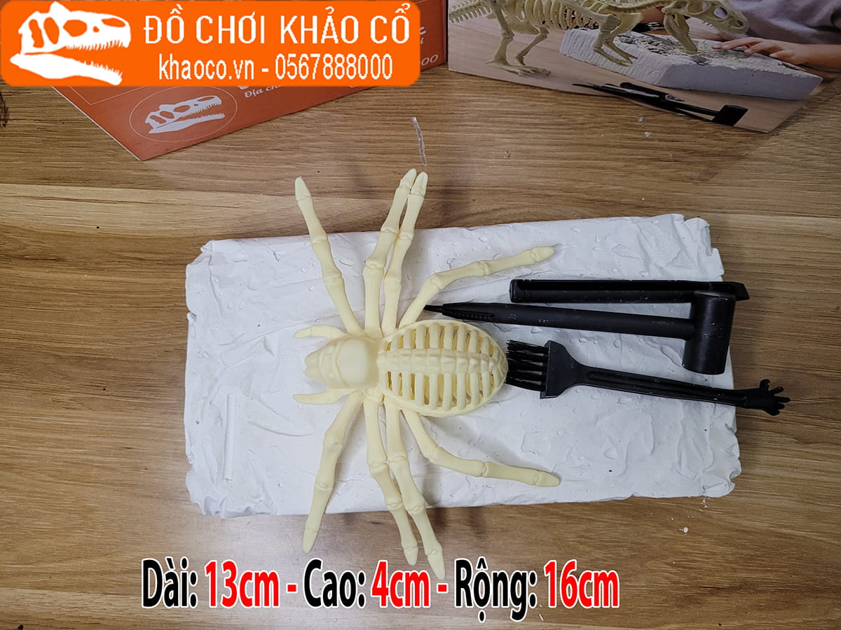 Bộ đồ chơi đào hóa thạch khủng long araneae