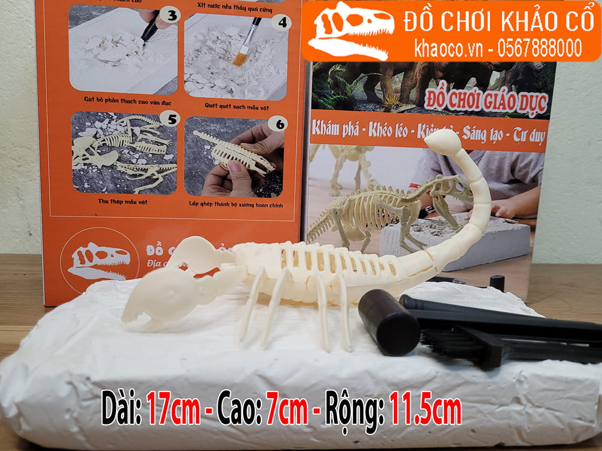 Bộ đồ chơi đào hóa thạch khủng long scorpio