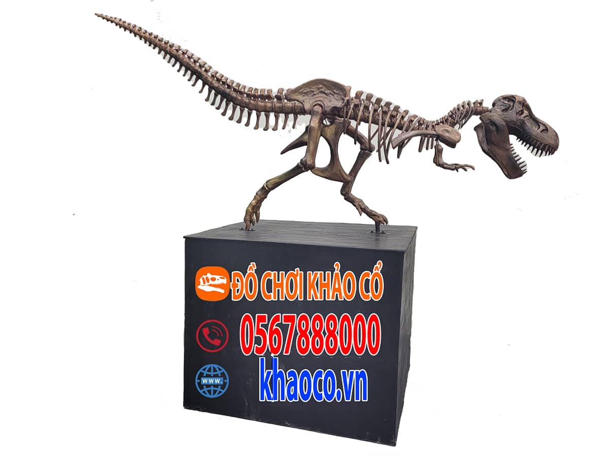Mô hình khủng long bạo chúa