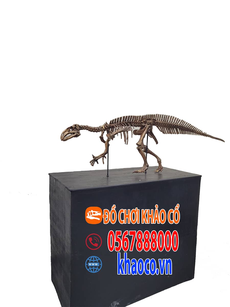 Iguanodon