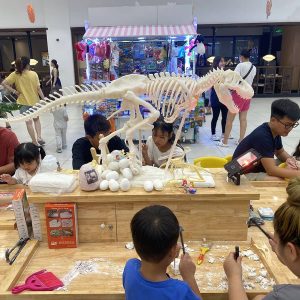 Xưởng sản xuất đồ chơi khảo cổ giá sỉ freeship toàn quốc 27 Mô hình khủng long trưng bày khu vui chơi