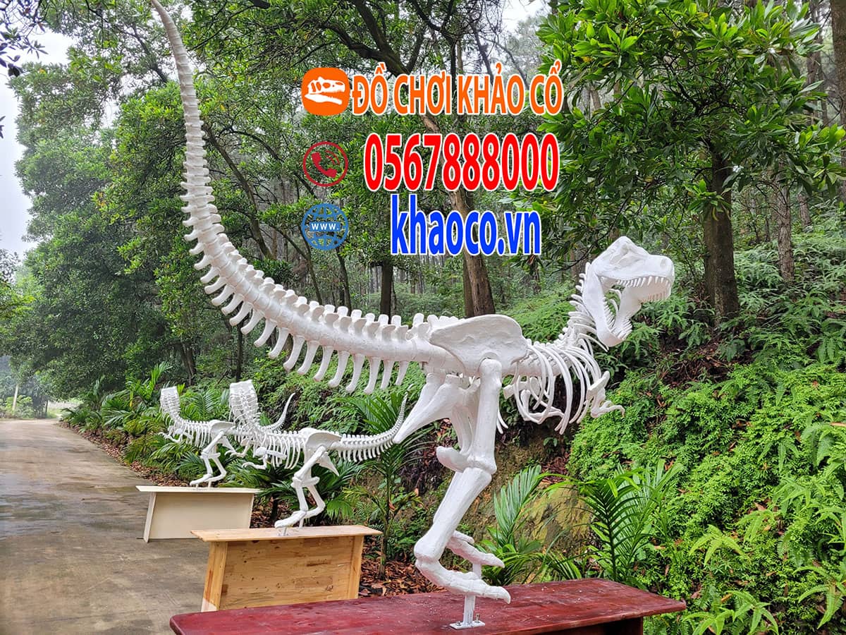 Mô hình khủng long trưng bày khu vui chơi