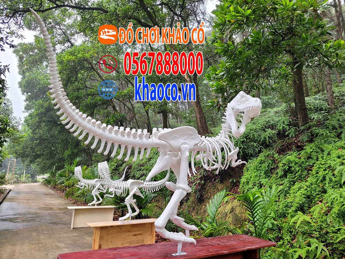Mô hình khủng long trưng bày khu vui chơi