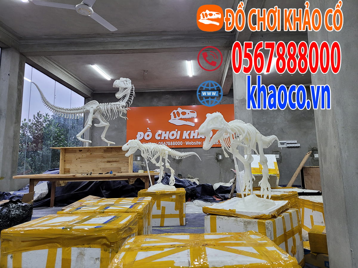 Mô hình khủng long