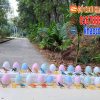 Trứng khủng long đào hóa thạch