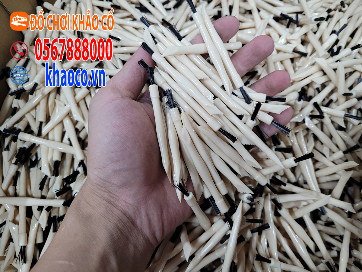 Trứng khủng long đào hóa thạch