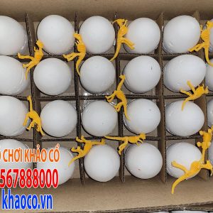 Trứng khủng long đào hóa thạch