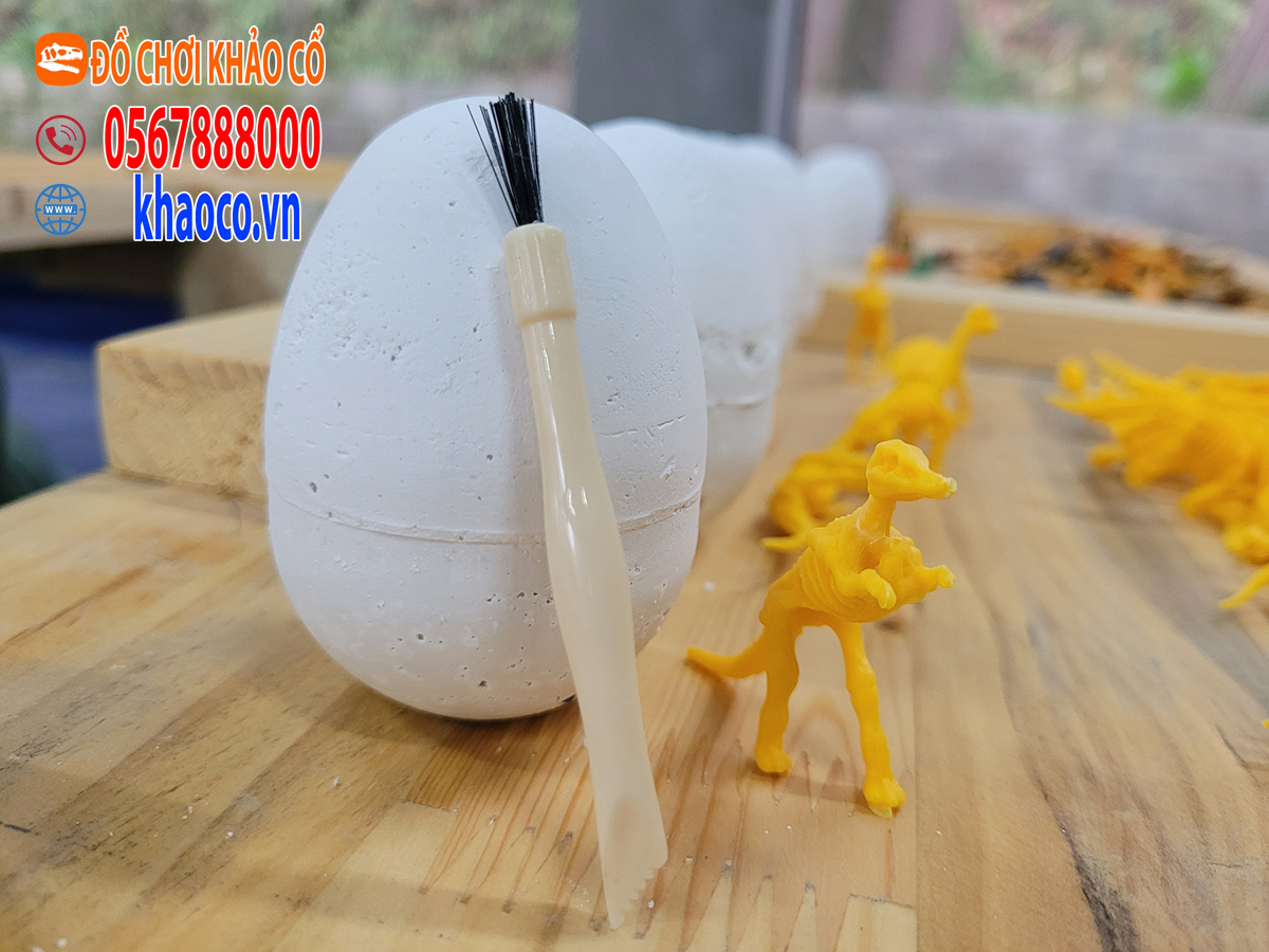Trứng khủng long đào hóa thạch