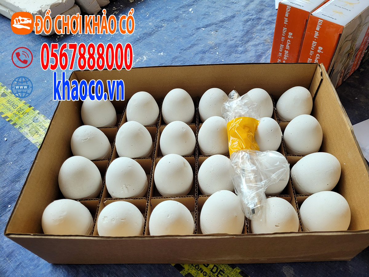 Trứng khủng long đào hóa thạch
