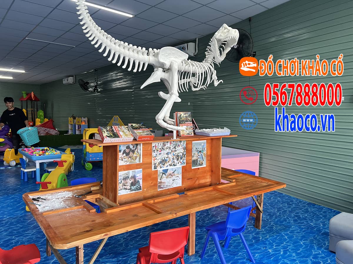 đào hóa thạch ở tphcm