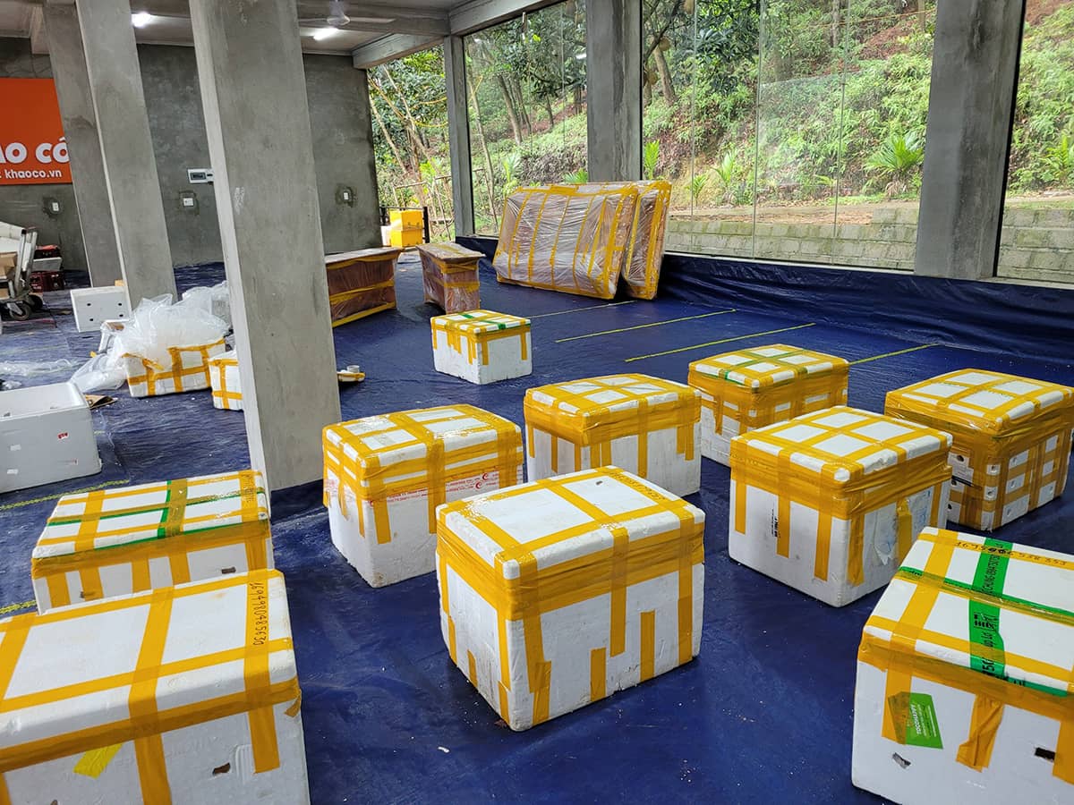 đào hóa thạch ở TPHCM