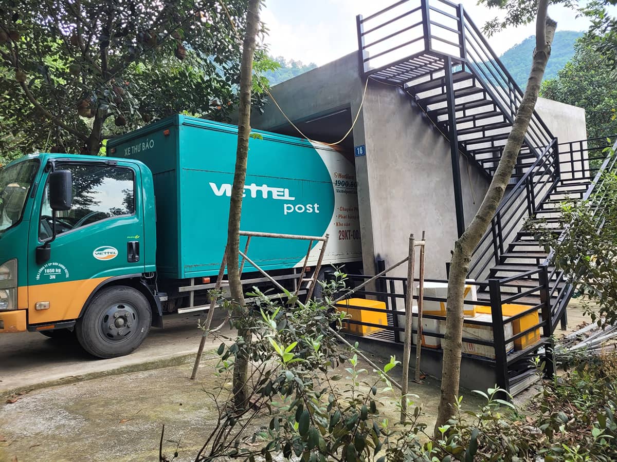 đào hóa thạch ở TPHCM