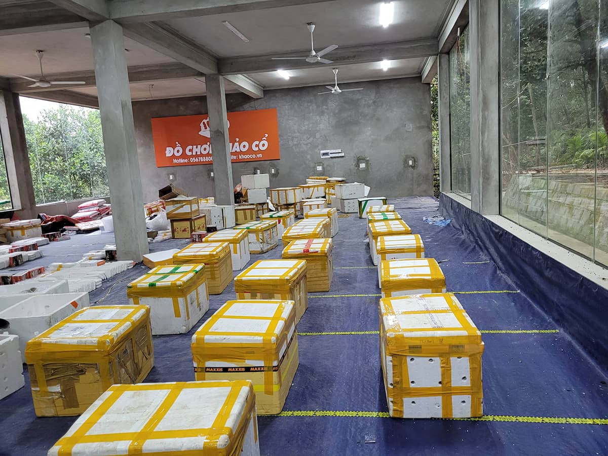 đào hóa thạch ở TPHCM