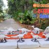 khảo cổ khủng long nguyên con