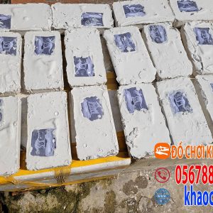 khảo cổ khủng long nguyên con
