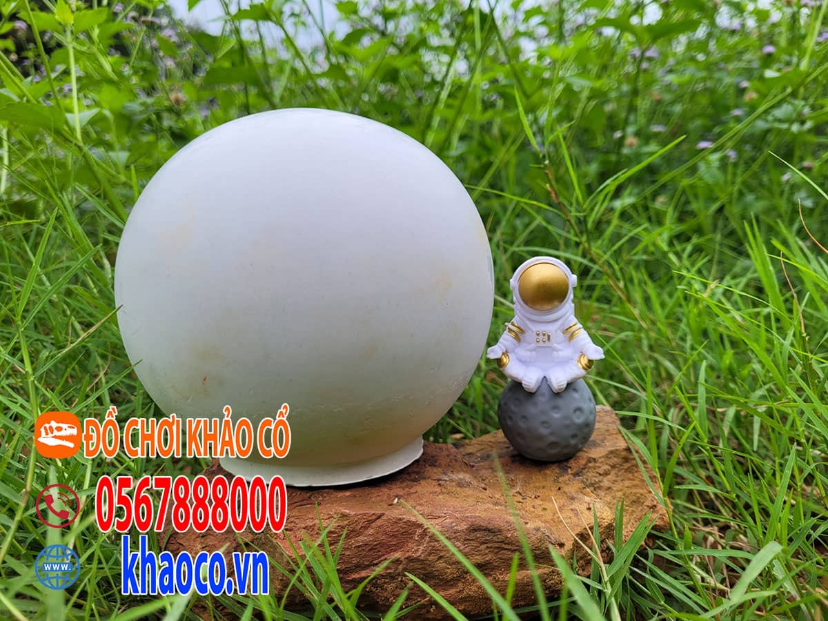 khảo cổ phi hành gia