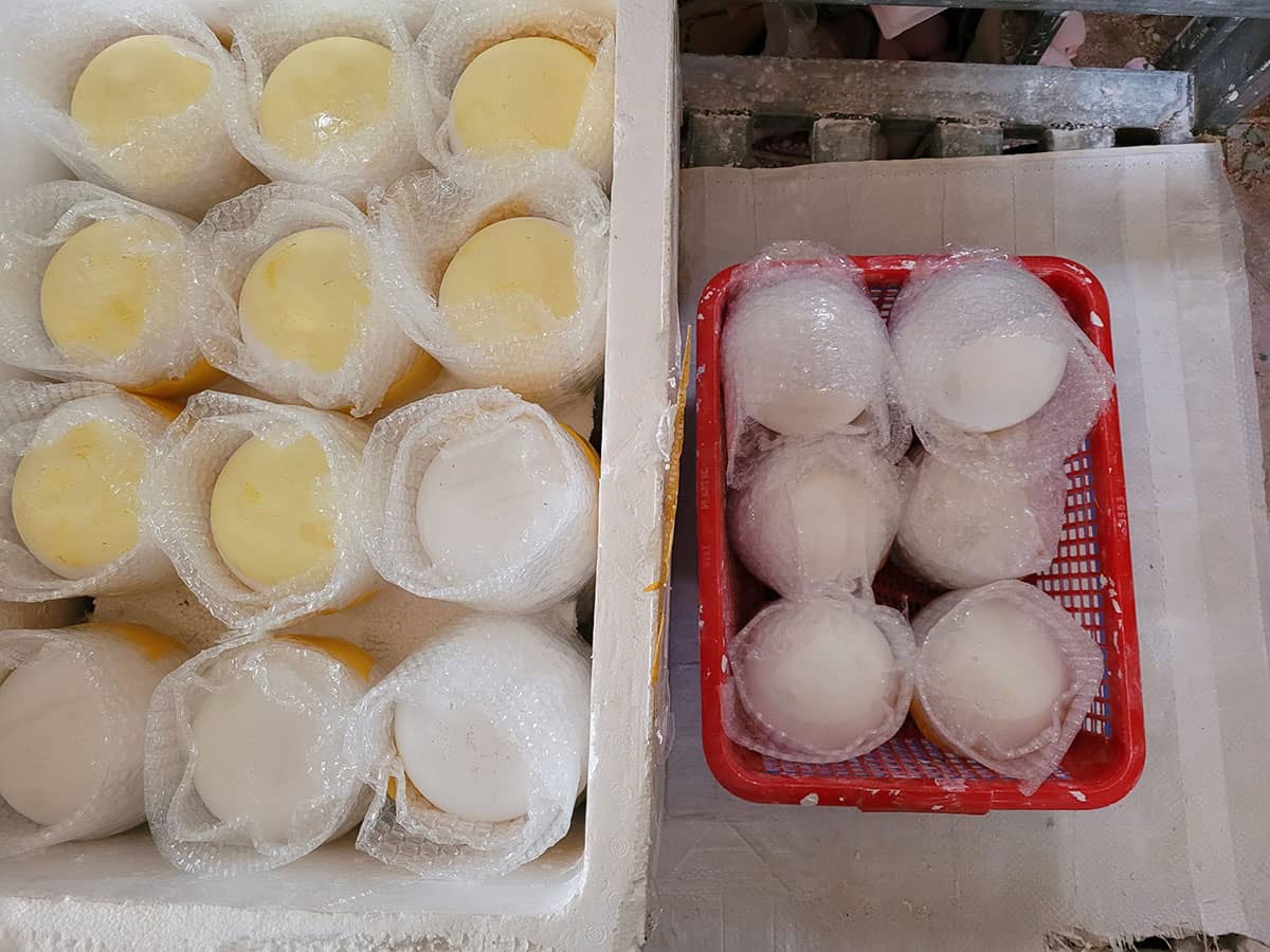 khảo cổ phi hành gia