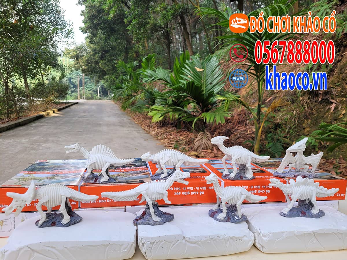 Xưởng sản xuất đồ chơi khảo cổ giá sỉ freeship toàn quốc 39 Đồ chơi khảo cổ khủng long nguyên con