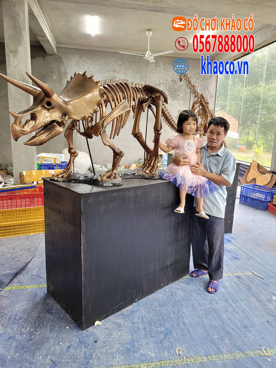Xưởng sản xuất đồ chơi khảo cổ giá sỉ freeship toàn quốc 49 Mô hình khủng long ba sừng trưng bày