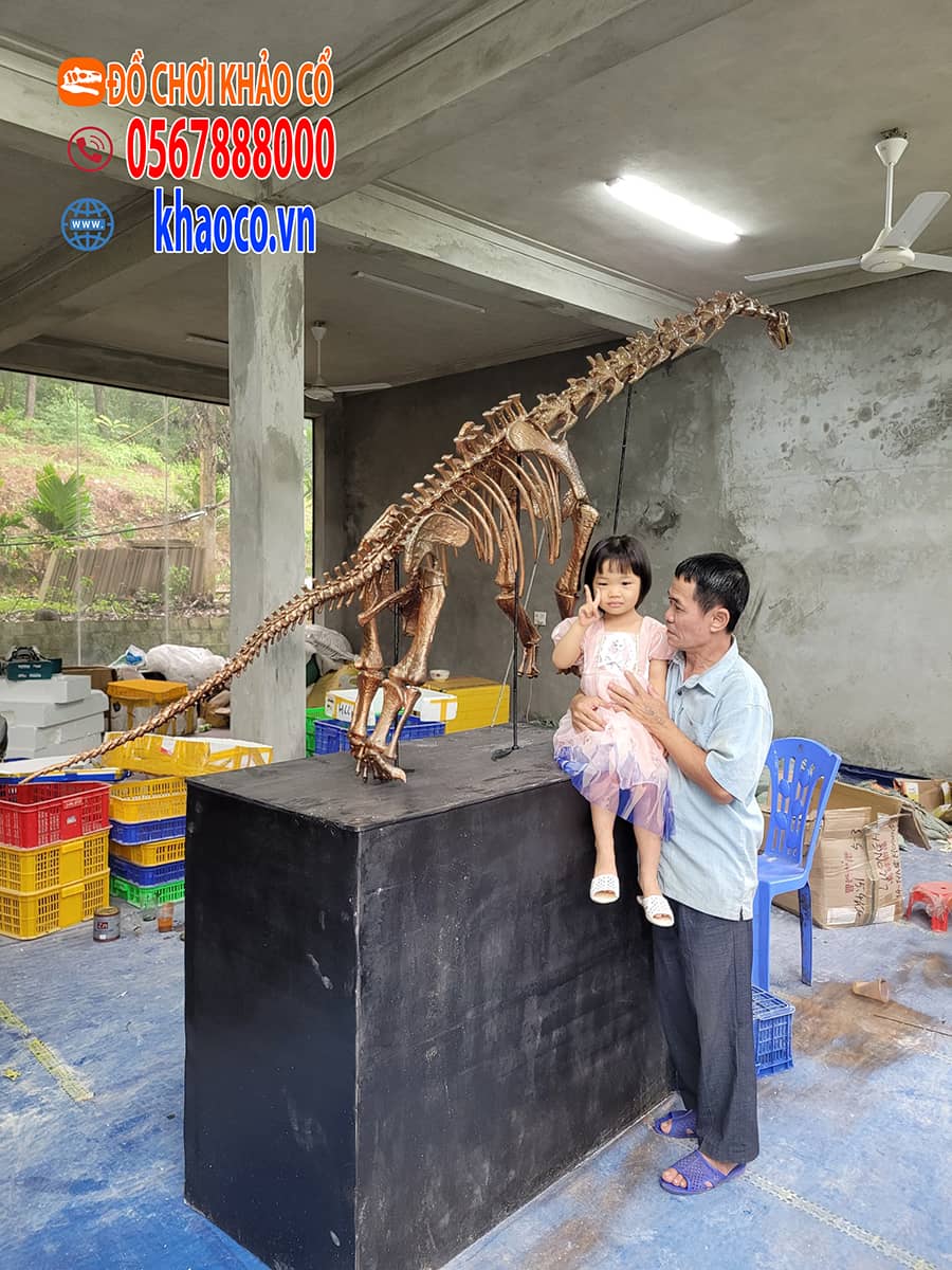 Mô hình khủng long cổ dài
