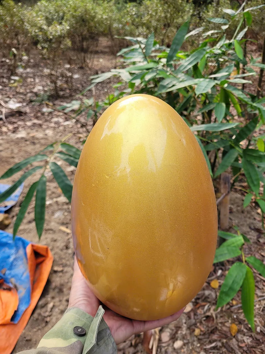 Trứng may mắn